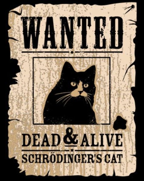 [Image: Schrodingers%20Cat%20Wanted_zpsoig44ftc.jpg]