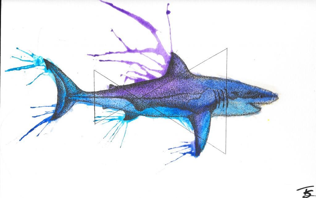 sasha-shark-painting_zps22790e4f.jpg