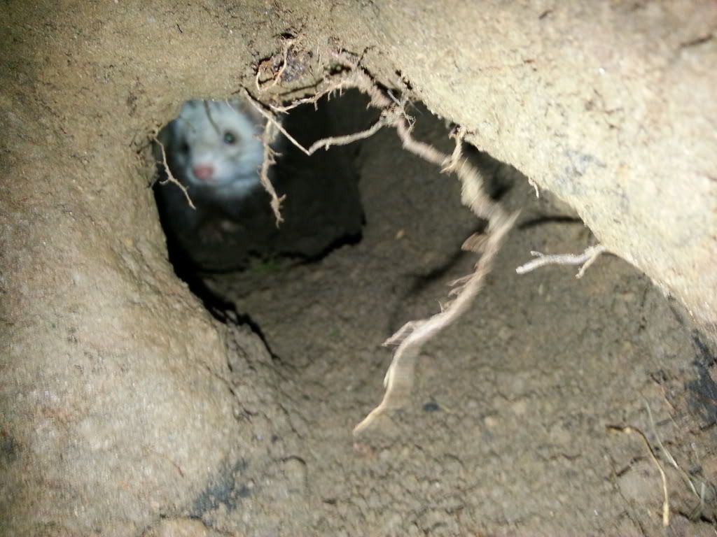 20130101_113629_zpsdf91cdf0.jpg