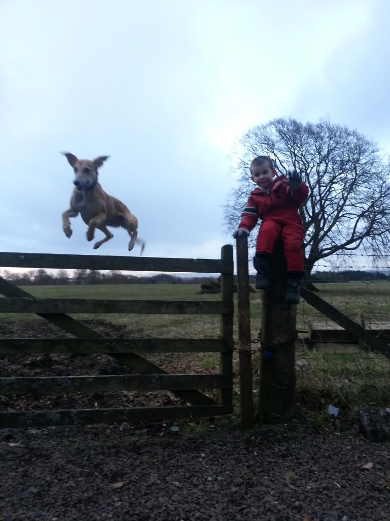 20130223_165816_3_zps30dc2aa8.jpg
