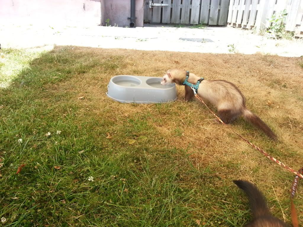 20130720_134544_zps372be885.jpg