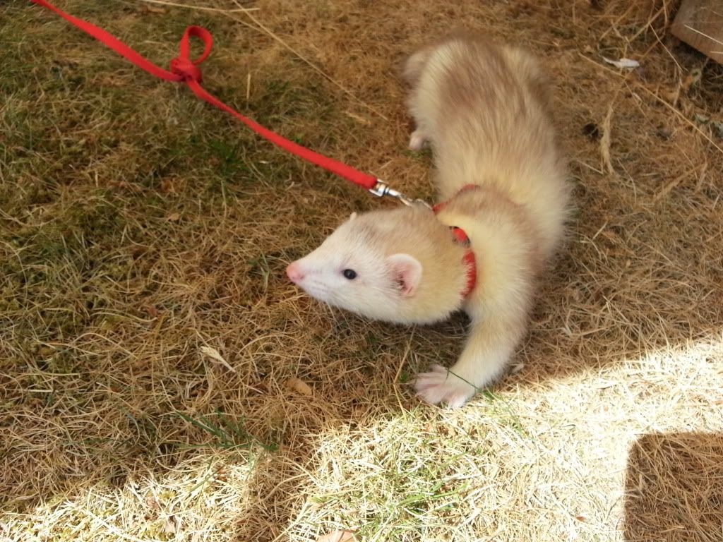20130720_134649_zps1b0669b2.jpg
