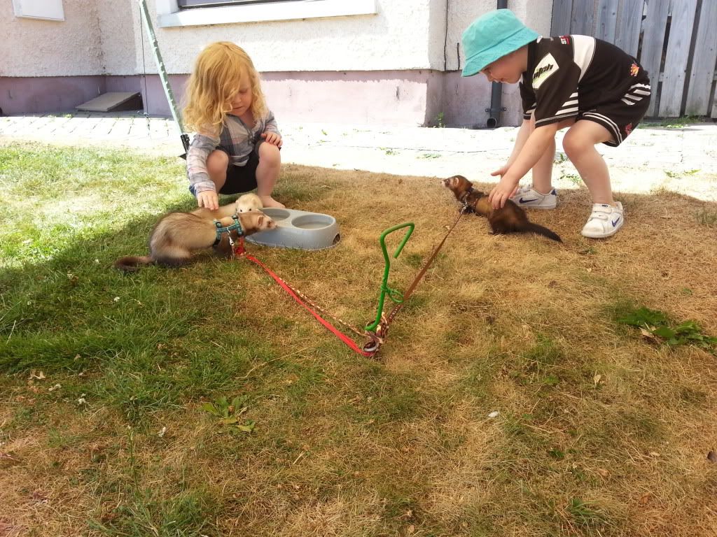20130720_134728_zps113778b3.jpg