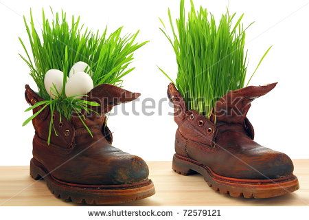 stock-photo-easter-egg-spring-and-force-