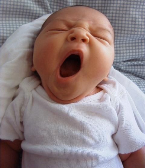 yawn_zpsa7a93502.jpg