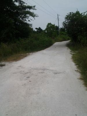 Barefoot White Beach - The Road to the Resort