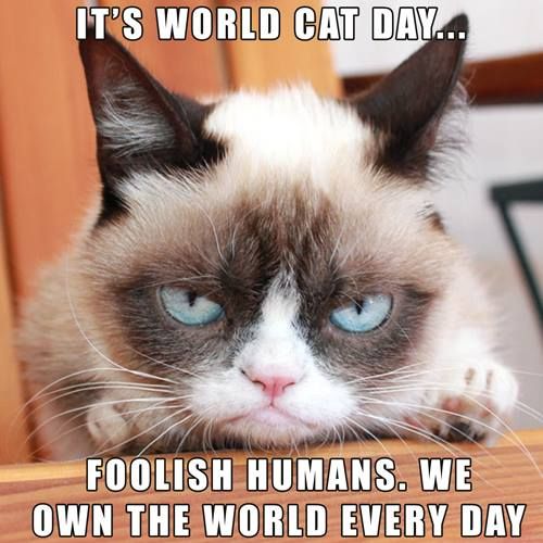 GrumpyCatWorldCat_zps047c1d1e.jpg