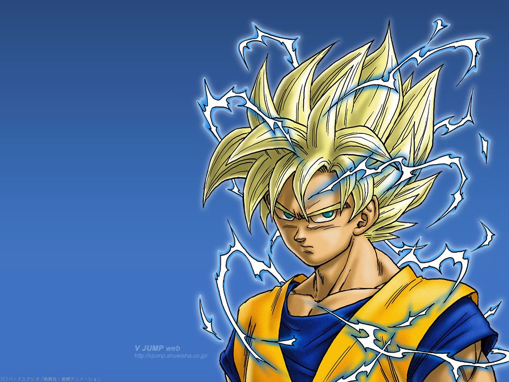 SuperSaiyanGokuTori_zps67e9a6b3.jpg