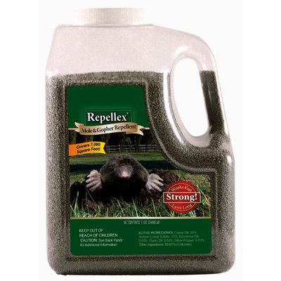 What are some natural mole repellents?