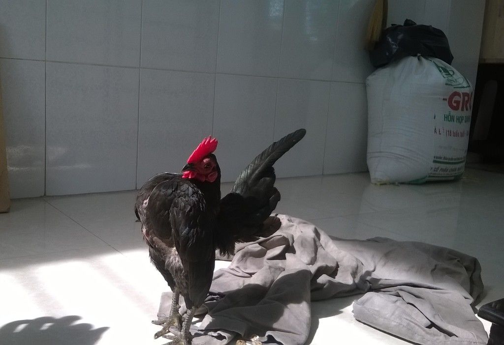 WP_20150614_002_zps7uccaqfw.jpg WP_20150614_002_zps7uccaqfw.jpg