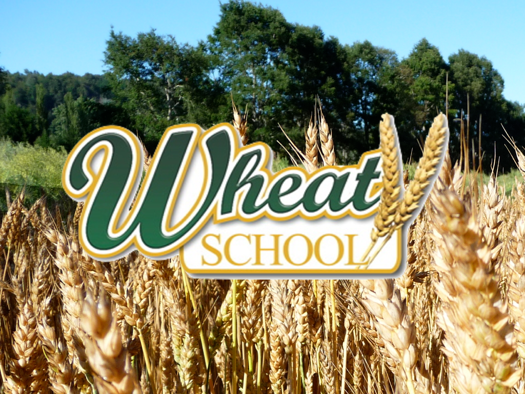 WheatSchool-Slide_zpszuxl6sq5.png