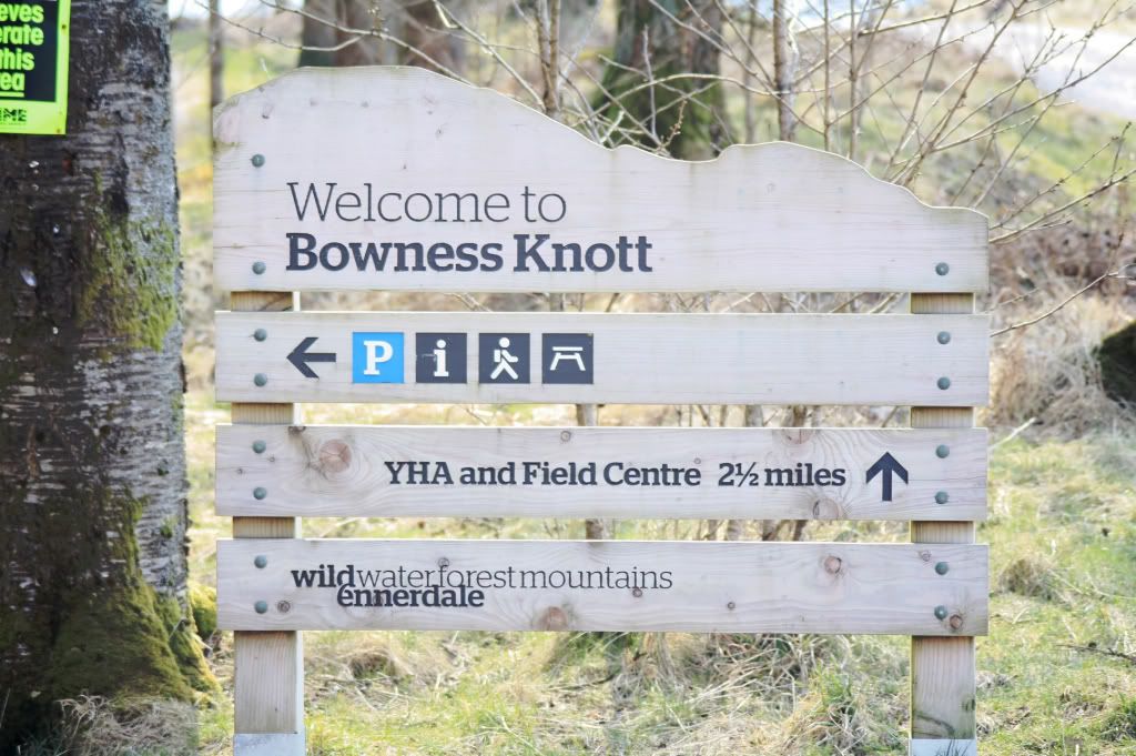 033b3581c4beee5f17dca71db3a165f2_zps4c8d