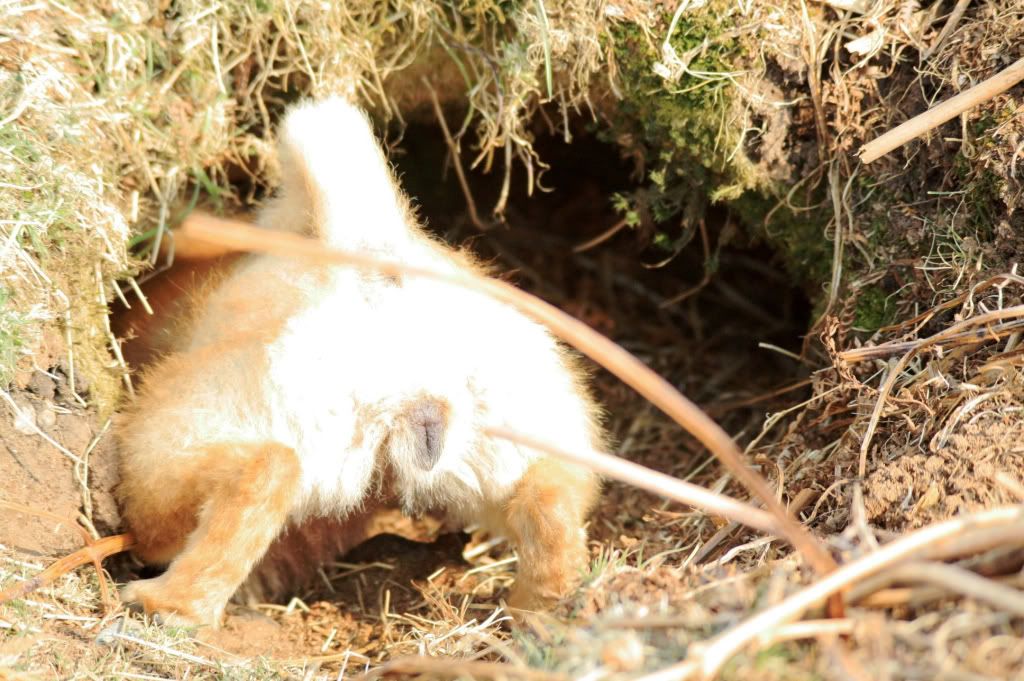 246f52e38c07c128b7623a4390132623_zps85f3