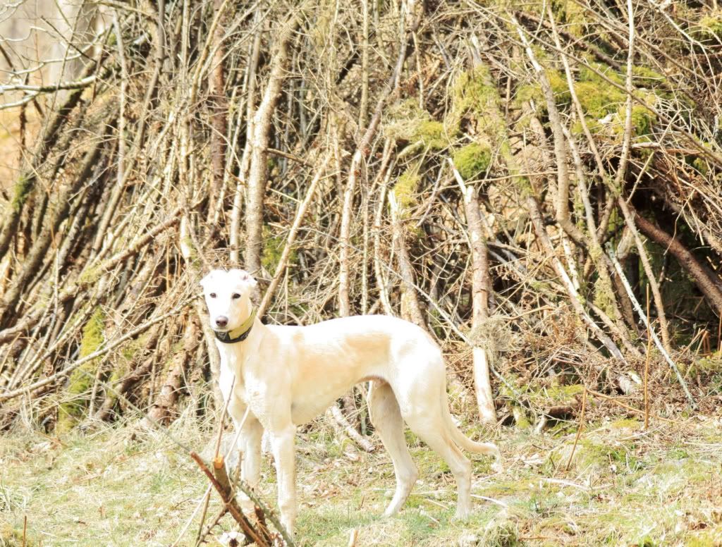 2cd1e6b5ebfb2242d92fa4db24cd866e_zps1556