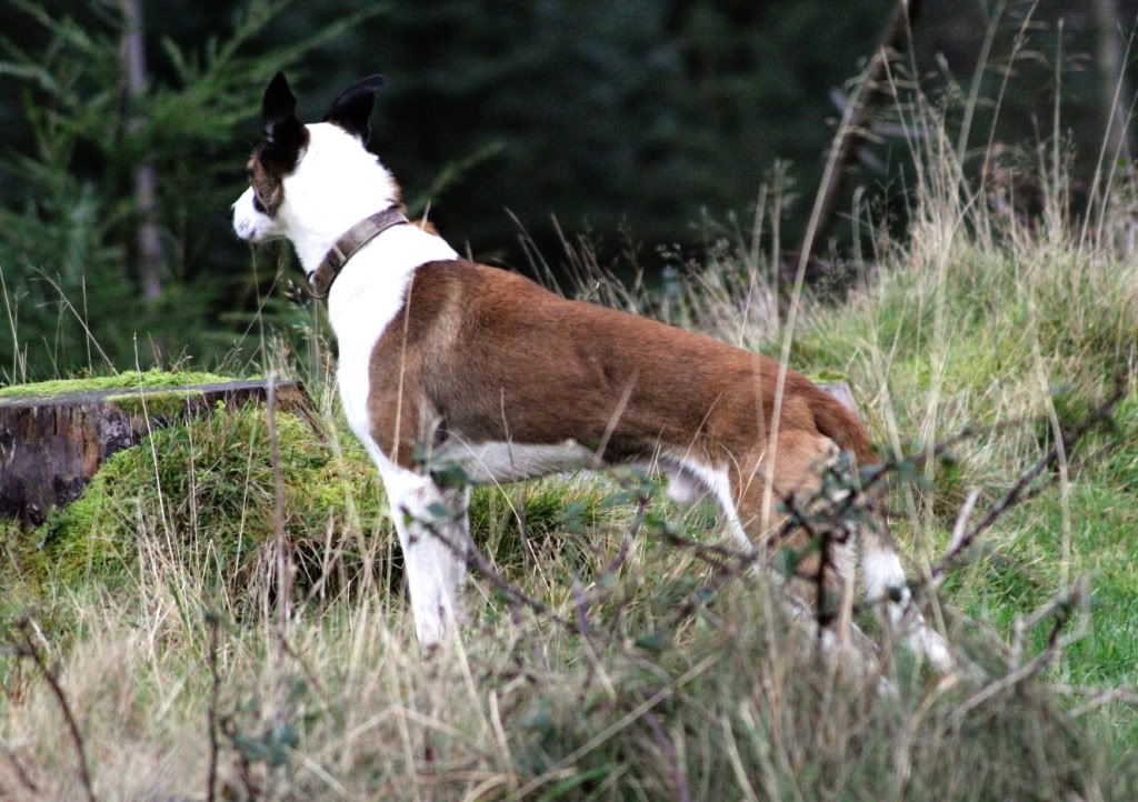 336b85224d5a06b3d278b25240d5c553_zps37cd