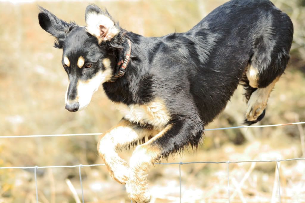 459ec1024202b2621bbd9e1a04975841_zps7a14