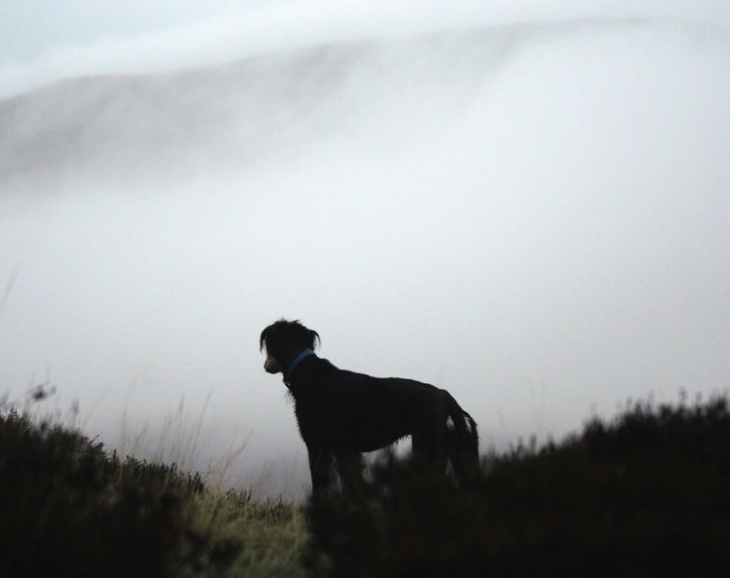 47d23af8e7603bfe04748a8b0e8ba882_zps16d5