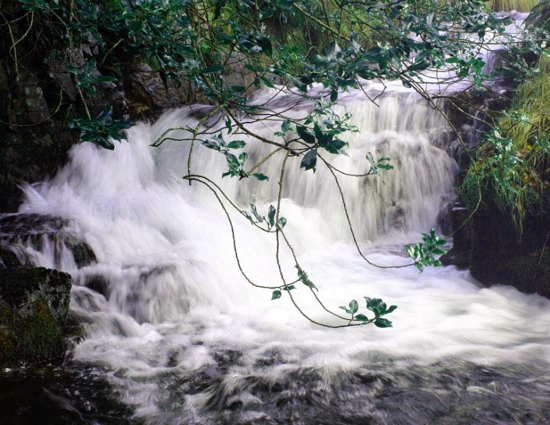 59ae1e59fe81e929a83b840c9d71687e_zps00e3