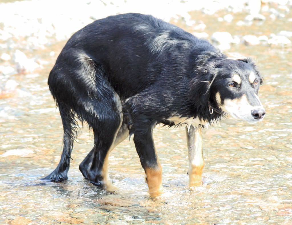 64027b1a8d1d7578b2c8e51ffff1d187_zpsc731