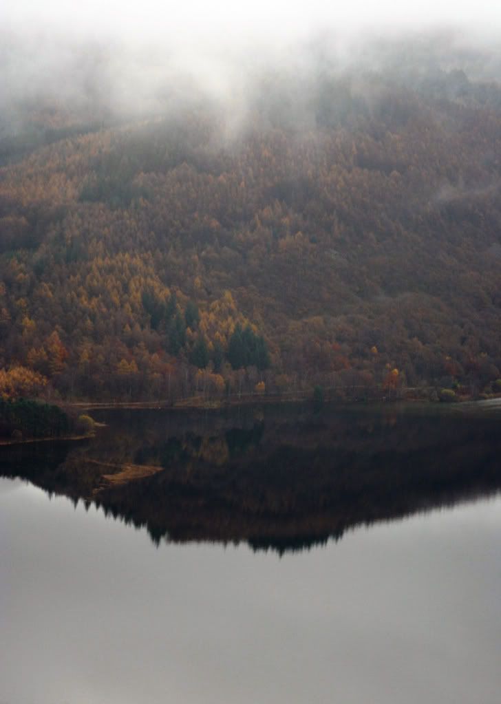 797841e171454e15e5470e97b1ac0776_zps5486