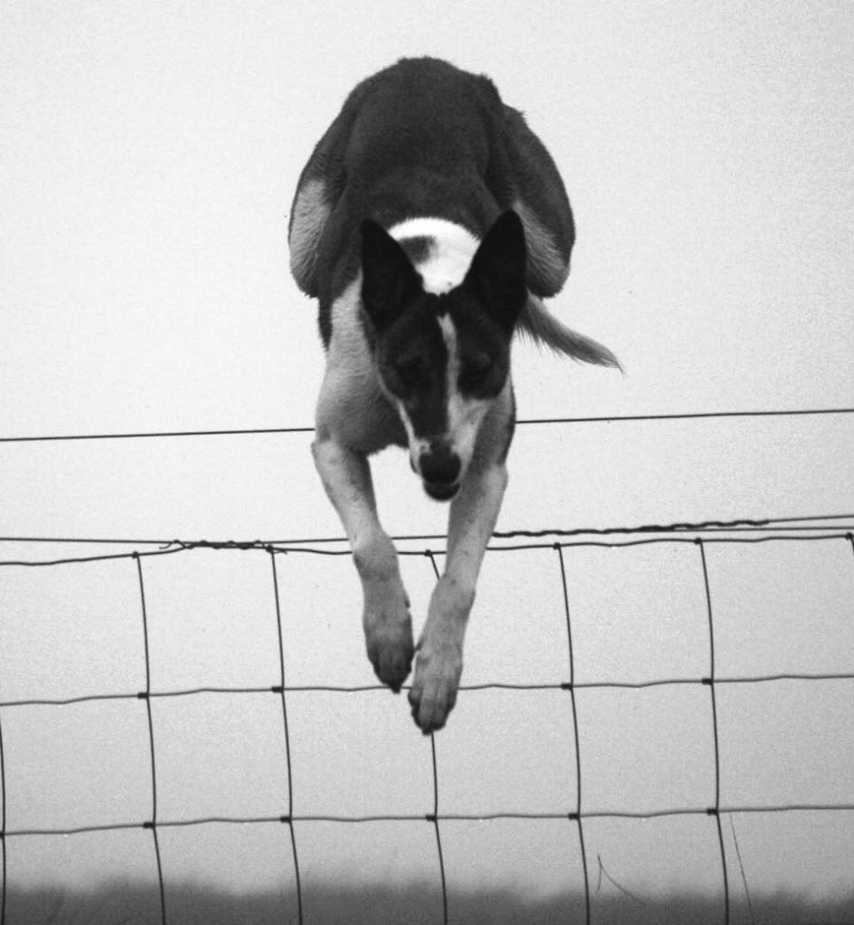 7b4d5cf9f0130a210a3ba0efaa4fa13c_zps46ff