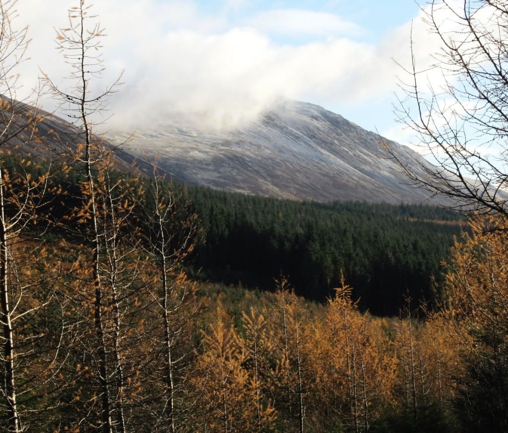 7fdb56abb8163131361d002c4ae2e11f_zps34b6