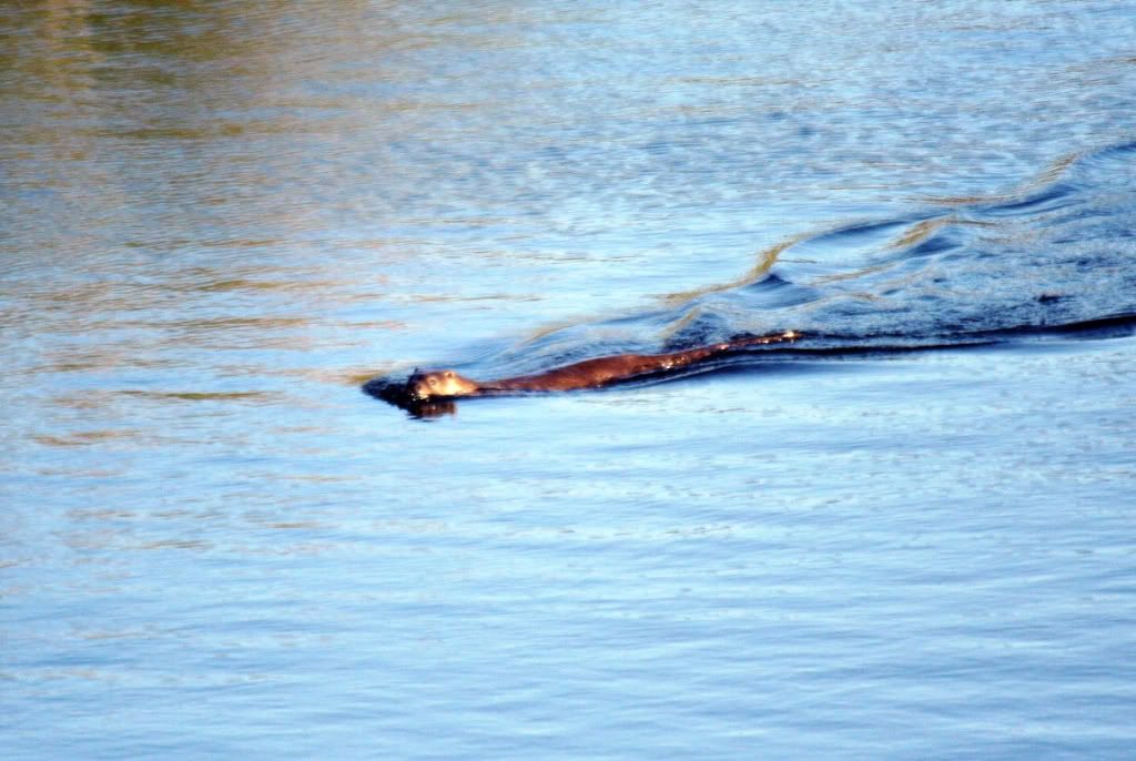 86e008b843fb658e6ecaf33b35fcdfc3_zpsdca3