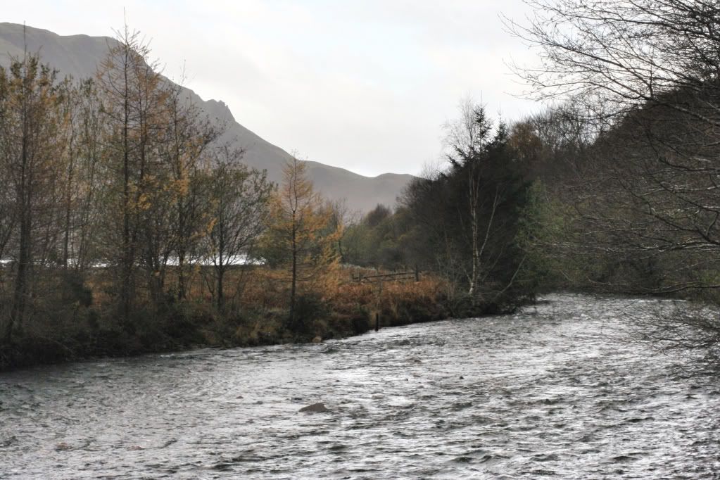 8b6726c5eb6a5ef108aaf5d142289fdd_zps24d8