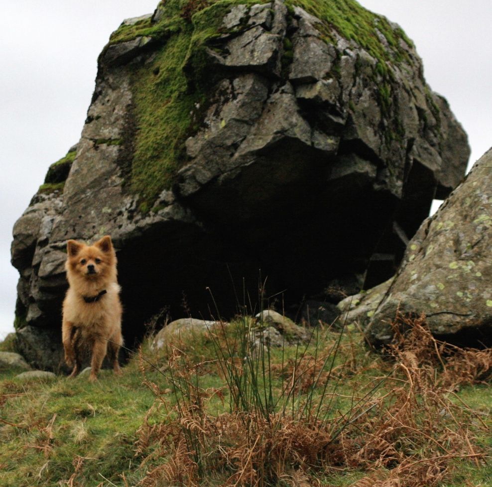 8ca0a4787fa54bcf9e6befe9c404d235_zps6a49