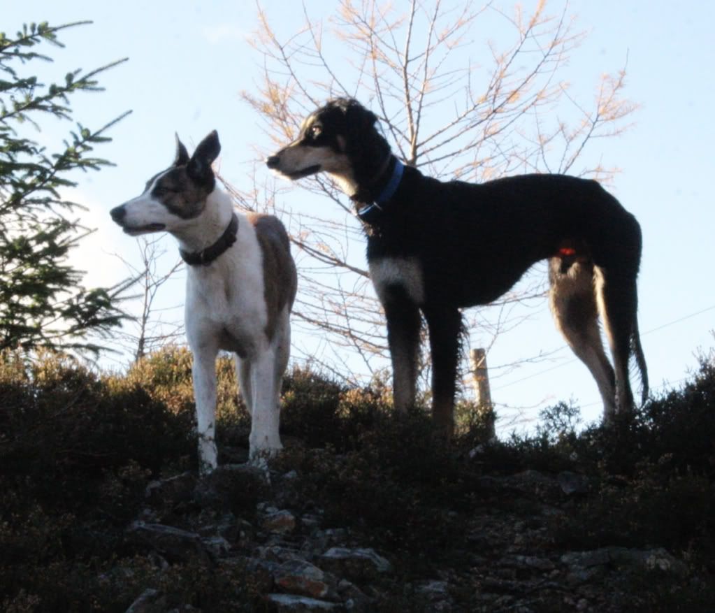 9aade4e3b6c3fe30e42cc983af7d92ce_zps1b8a