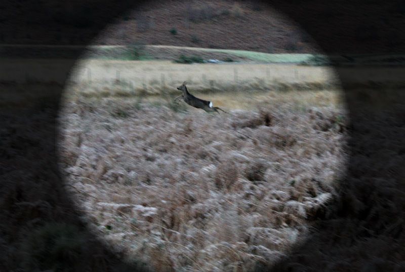 9da1e14809f290216442fe0f72b1602a_zpsf6f2