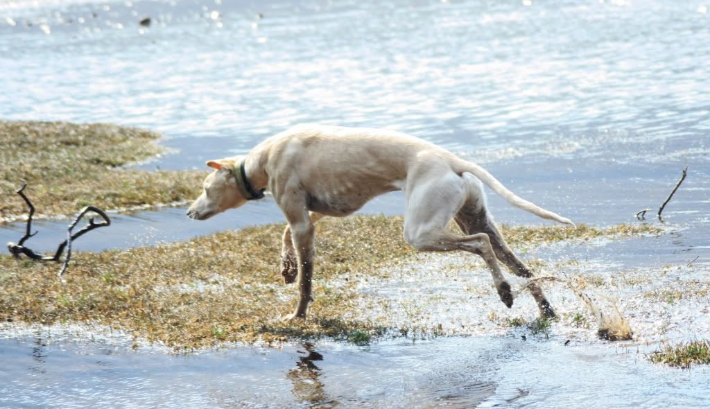 a9e0a97c1118d68c374f26a9bd32d2f2_zps0ba4