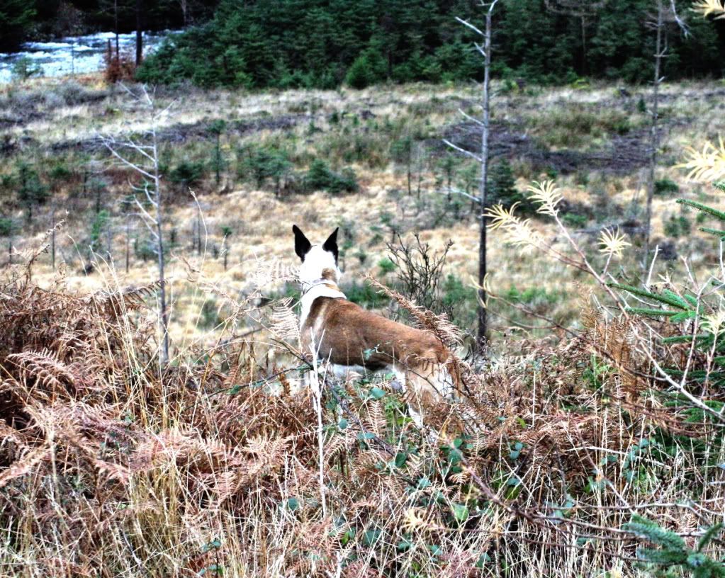 b8e734f427c850b85cd7849158a8aabd_zps0a06