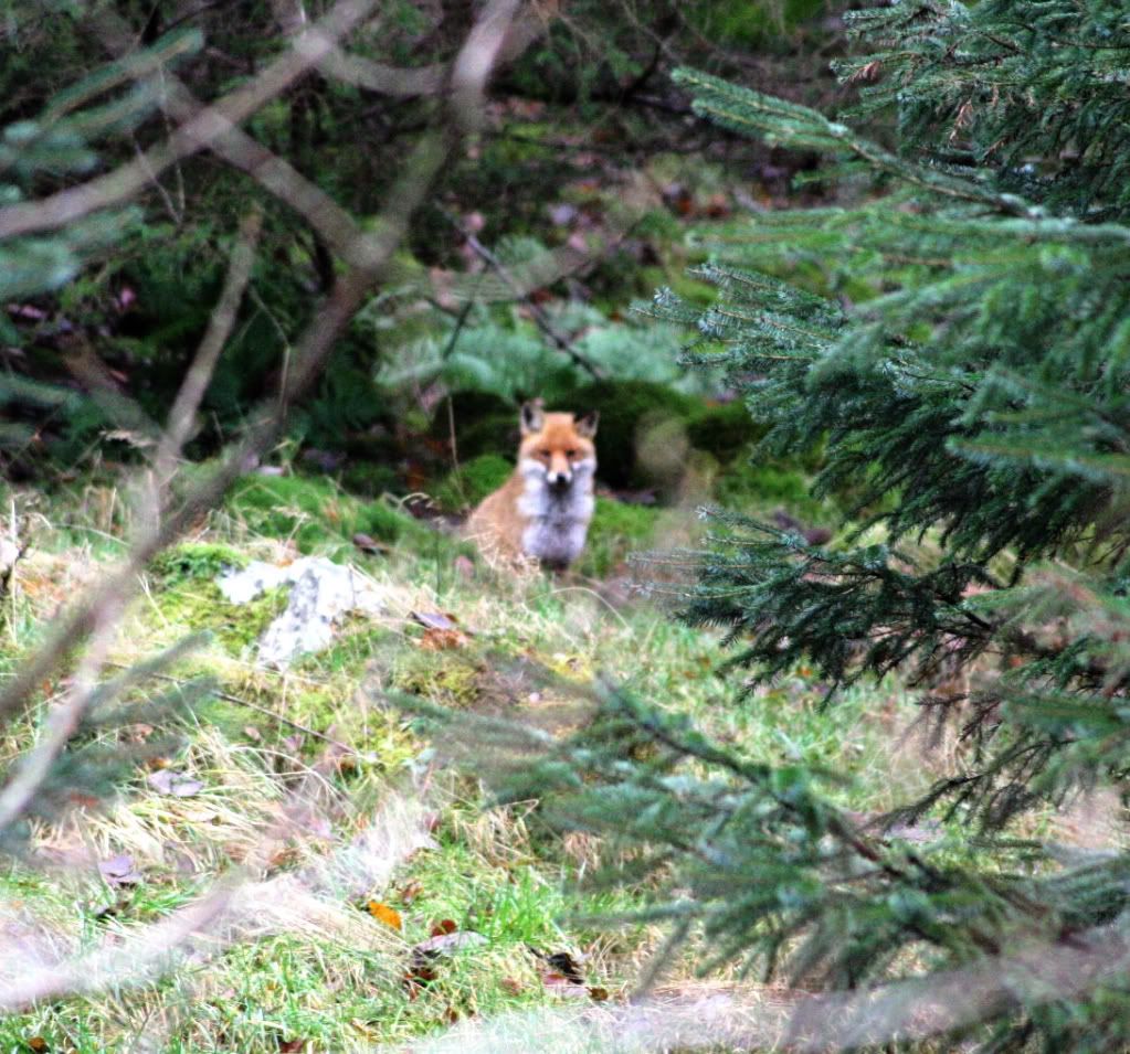 cbf987b576d25bc689a35c775f646c0e_zpse227