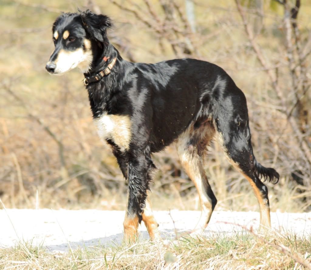 df6cb8a58744724815714d9fd8f4a734_zps8325