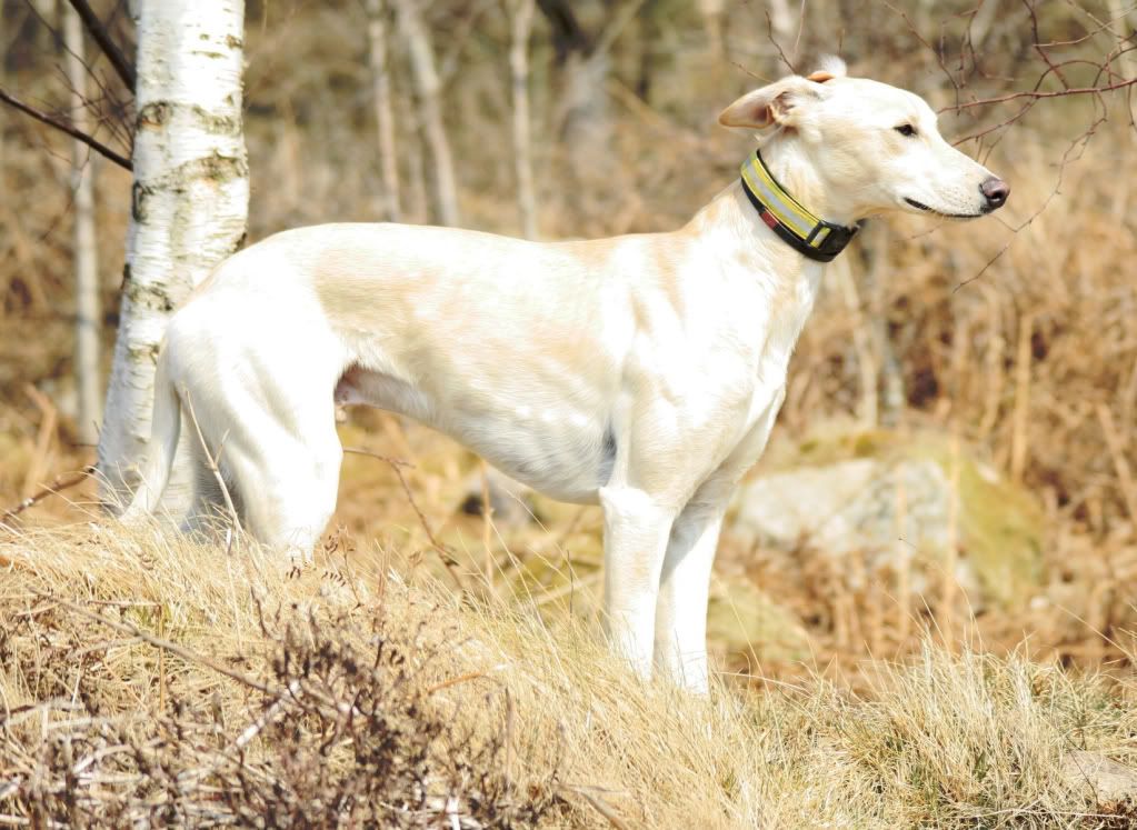 e654af67424bf605ecb87124bd300ff5_zpse5e1