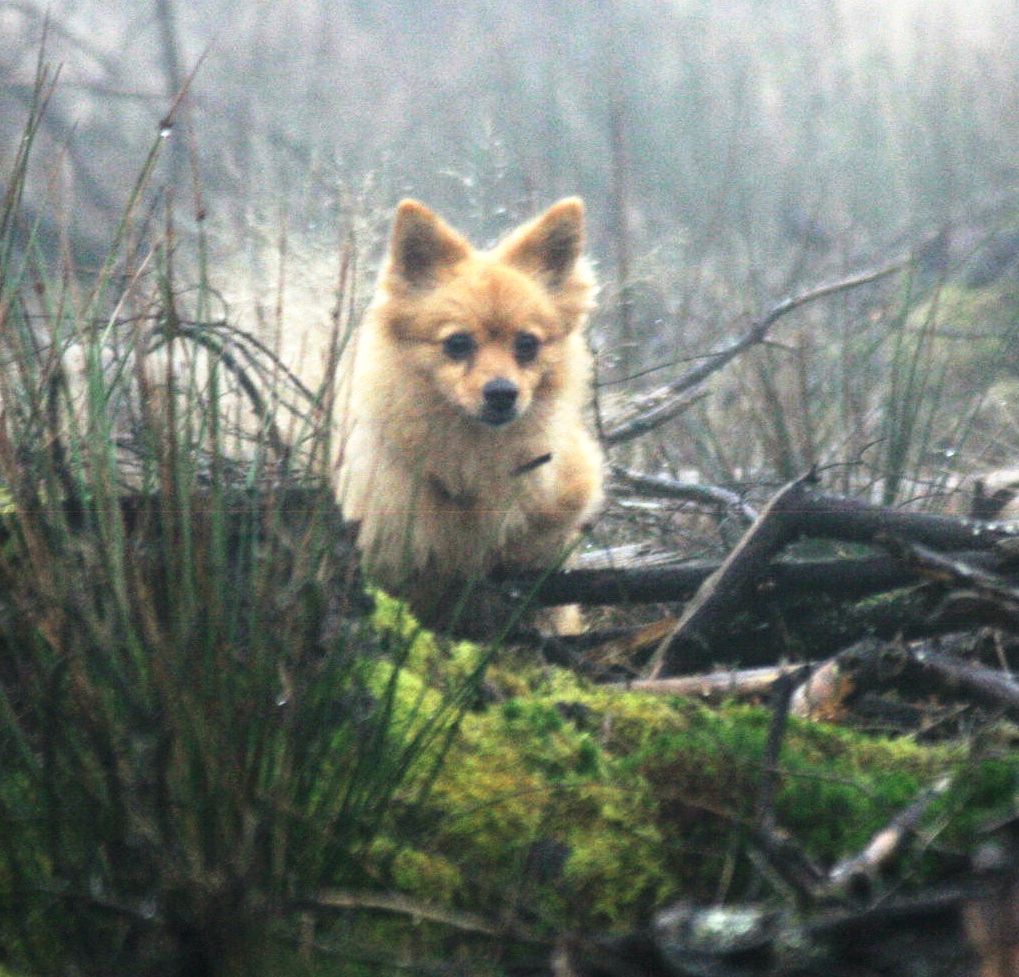 ee6eb1df52b66fdc9803748e46c20033_zps0514