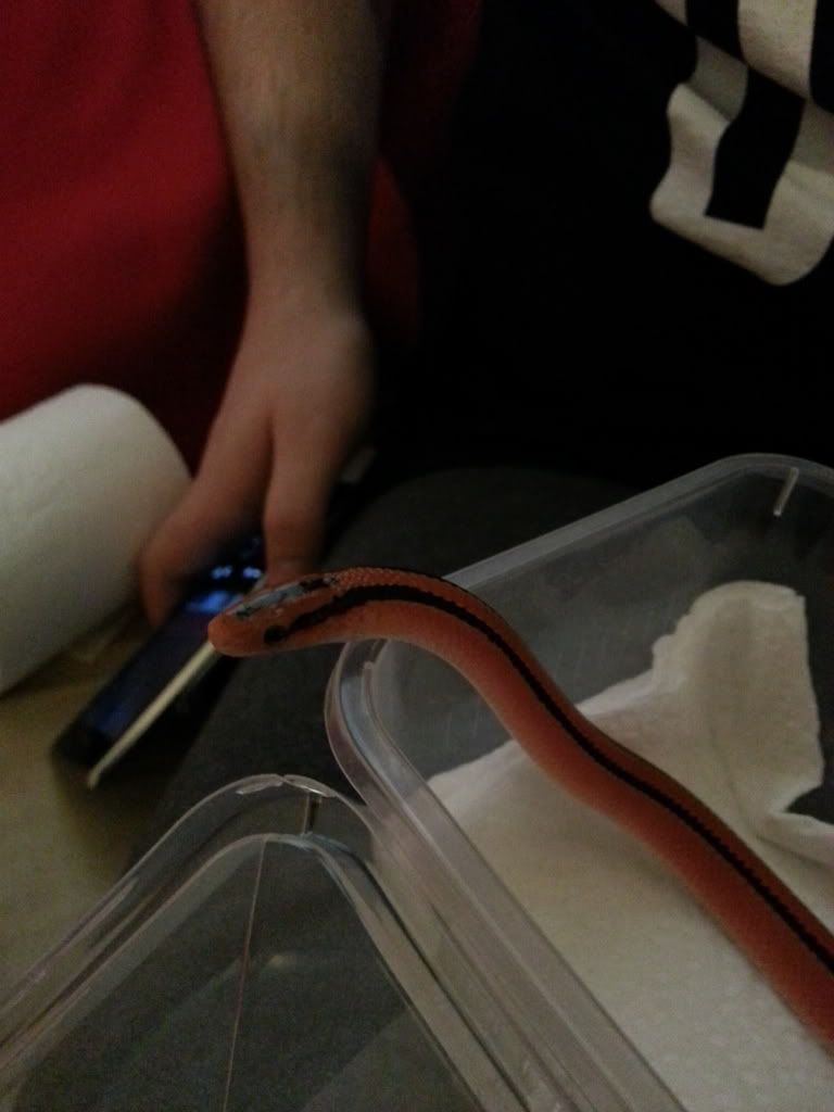 20130223_165221_zps384db29e.jpg
