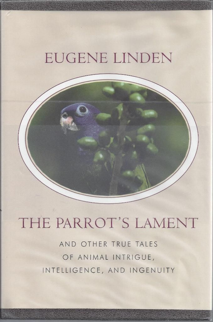 Image for The Parrots Lament