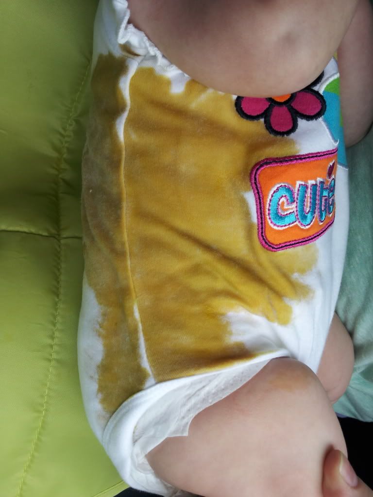 I Couldnt Believe How Much Poo There Was Her Diaper Was Full And There Was A Ton Of Poo Under Her Shirt And Of Course While Im Cleaning Her Off I Couldnt Believe How Much Poo There Was Her Diaper Was Full And There Was A Ton Of Poo Under Her Shirt And Of Course While Im Cleaning Her Off